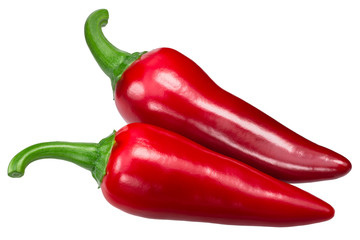 Kalocsai paprika pepper, paths