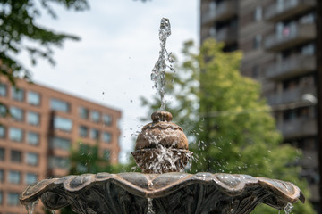 Fountain Spreaying water