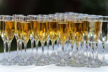 Champagne glasses i