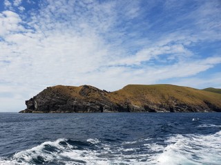 Fototapeta premium shinny