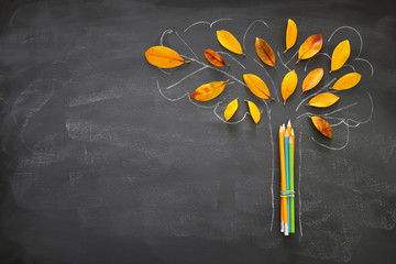 Back to school concept. Top view banner of pencils next to tree sketch with autumn dry leaves over...