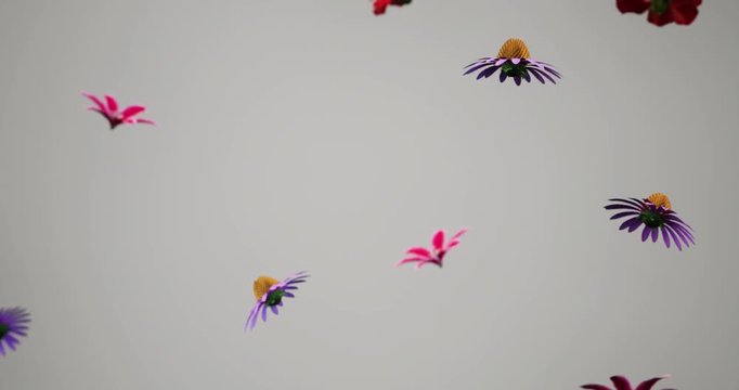 3D rendering looping seamless falling flowers from the sky background