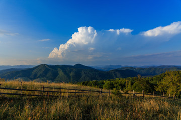 Landscape with green trees and blue sky