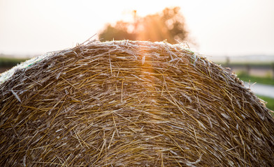 Balet słomy z flarą