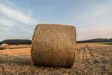 Baloty słomy © andsko