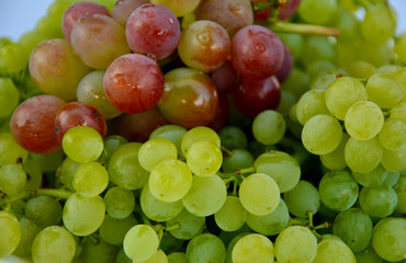 Many Green grape wine full frame.