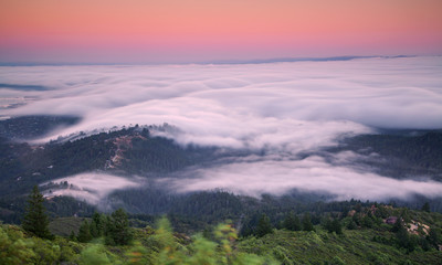 Mountain Tamalpais Fog