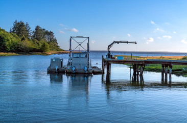 Oyster Harvest