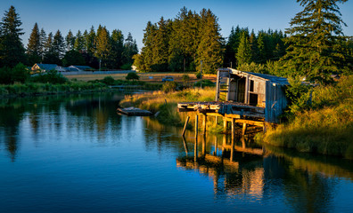 Obraz premium Oyster Harvest