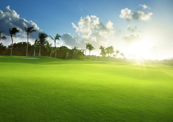 Fototapeta premium spring grass, golf field