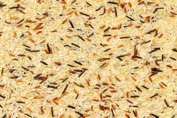 Macro mix of red, browb, black and steamed white rice as a natural food background.