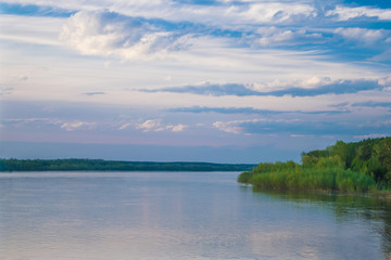 Forest coast of river
