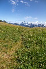 Fototapeta na wymiar Path through alpine meadows leads to views of Mt Shuksan.