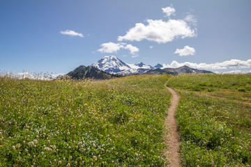 Footpath along Skyline Divide leads to views of Mt Baker.