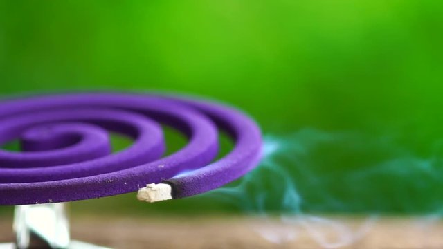 Slow Motion : Violet mosquito repellent and white smoke on wooden table with green blur light space background