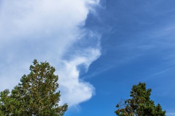 Obraz premium Sky in two colours