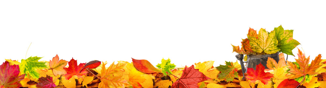 autumn leaves tendril cutout