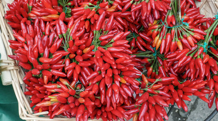 Naklejka premium Red Pepper Chili Group 