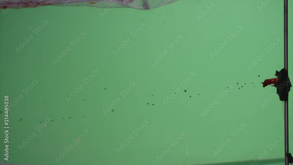 Poster slow motion blood squibs exploding, spraying blood across the screen on green screen. for use with v