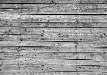 Obraz premium The texture of the tree in black and white. The black and white image