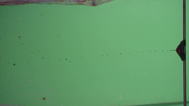 Slow motion blood squibs exploding, spraying blood across the screen on green screen. For use with visual effects and/or design and texturing.