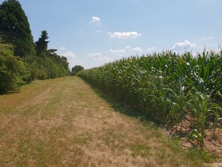 Obraz premium Aussicht