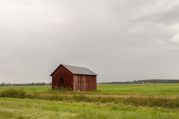 Red Barn in Green Field