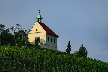 Fototapeta na wymiar Small Church in Wineyard
