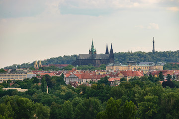 Obraz premium Prague Castle and St. Vitus Cathedral