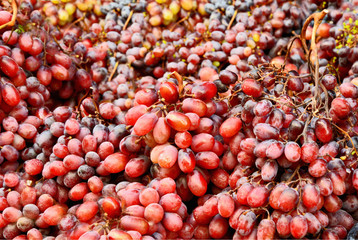 A lot of grapes in the street fruit market,Athens with full frame.