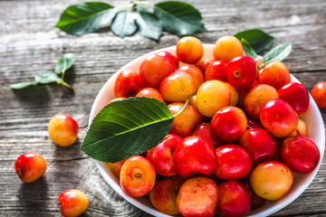Colorful cherries, fresh sweet cherry fruit freshly harvested in the summer