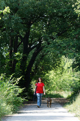 A woman dressed in jeans and a red T-shirt is walking with a dog of the Staffordshire terrier breed along the park alley