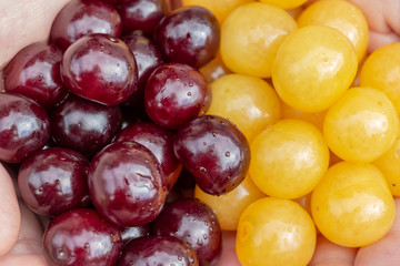 handful of red and yellow cherries