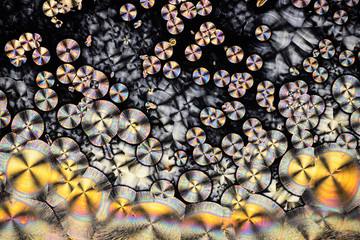 Colorful micro crystals in polarized light