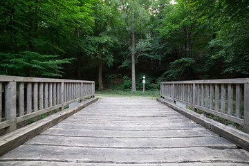 Brücke im Wald  - 214491835