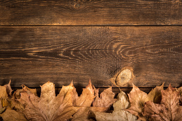 fallen dry leaves on wooden plank background