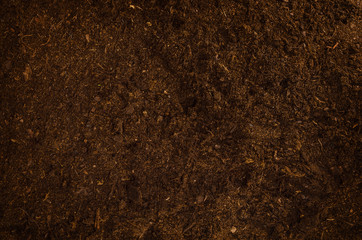 Fertile soil texture background seen from above, top view. Gardening or planting concept with copy space. Natural pattern