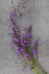 Lavender background.