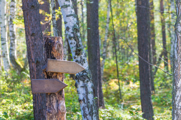 Road sign on a wooden pole in the forest