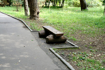 wooden bench in the city park