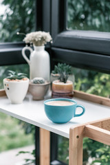 hot coffee cup with cactus on pottery decoration objects.hot coffee mug on white table.