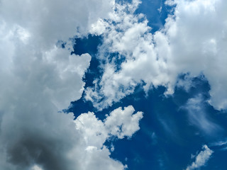 Background pattern with white sky in the summer season