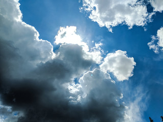 Background pattern with white sky in the summer season
