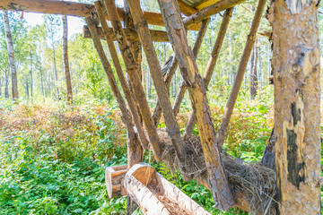 A place for feeding horses with hay and lice of common salt in the forest