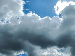 Background pattern with white sky in the summer season