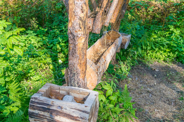 A place for feeding horses with hay and lice of common salt in the forest