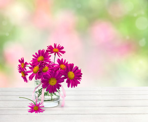 Bouquet of flowers pink daisies ( Pyrethrum, Tanacetum coccineum ) in small vase on white wooden table on a green blur natural background with space for text