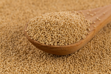 amaranth grain closeup
