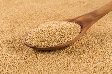amaranth grain closeup