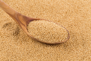 amaranth grain closeup